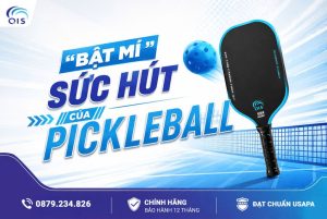 bat-mi-suc-hut-cua-pickleball