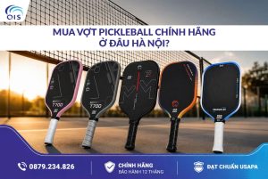 Mua vợt Pickleball chính hãng ở đâu Hà Nội?