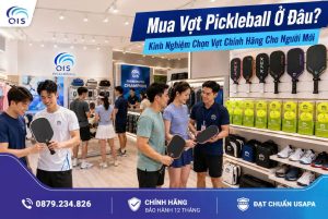 Mua vợt Pickleball ở đâu? Kinh nghiệm chọn vợt chính hãng cho người mới