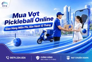 Mua vợt Pickleball Online: Giao hàng miễn phí, bảo hành 12 tháng