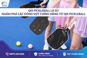 QIS Pickleball là gì? Khám phá các dòng vợt Pickleball