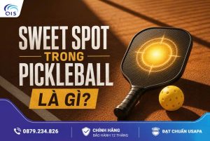 Sweet Spot trong Pickleball là gì? Vì sao người chơi nên quan tâm?