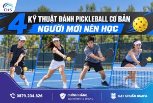 4 Kỹ thuật đánh Pickleball cơ bản người mới nên học
