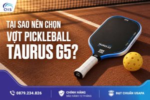 Tại sao nên chọn vợt Pickleball QIS Taurus G5?