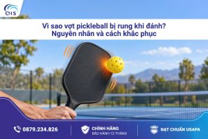 Vì sao vợt Pickleball bị rung khi đánh? Nguyên nhân và cách khắc phục