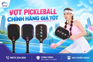 Vợt Pickleball chính hãng giá tốt - Tiêu chí chọn vợt đáng mua