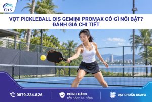 Vợt Pickleball QIS Gemini Promax có gì nổi bật?